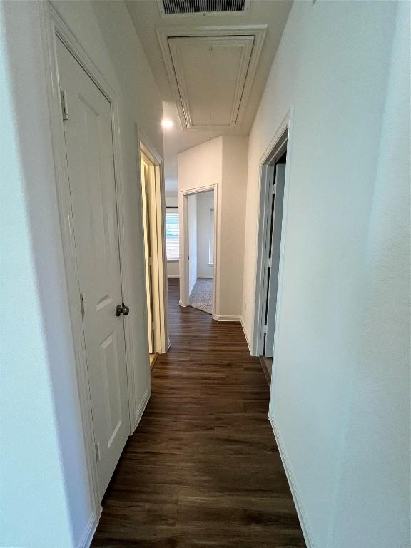 hall featuring dark wood-type flooring