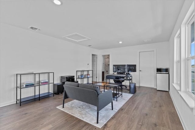 living room featuring wood-type flooring