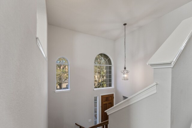 30004 Oakland Hills Dr, Georgetown, TX 78628 - view of stairs
