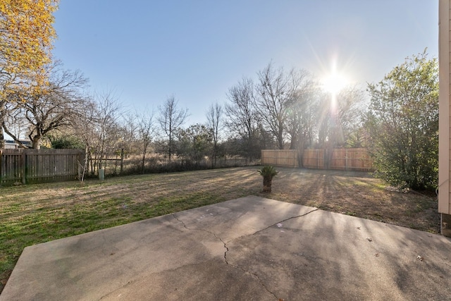 view of yard featuring a patio area