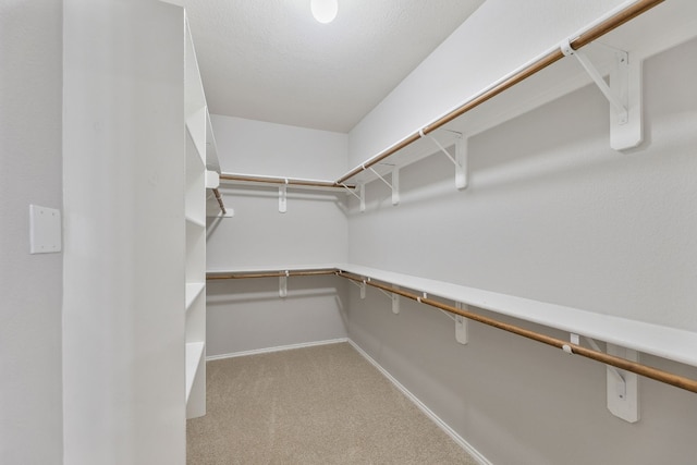 walk in closet with light carpet