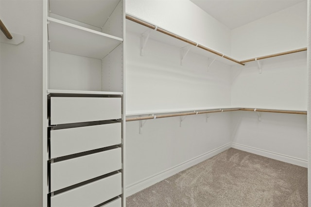 spacious closet featuring light carpet