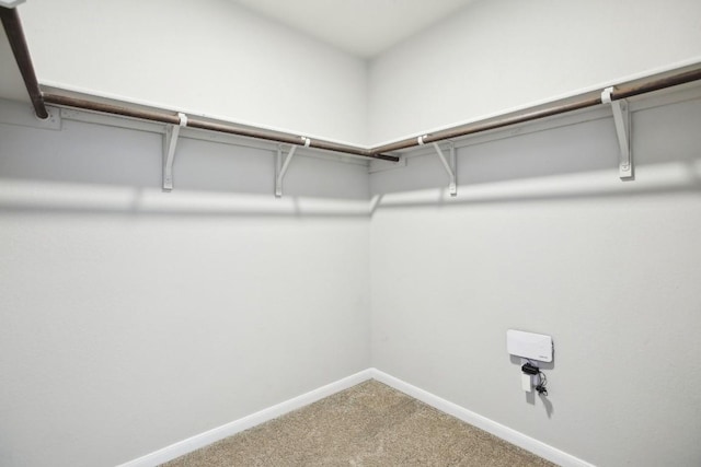 spacious closet with carpet floors