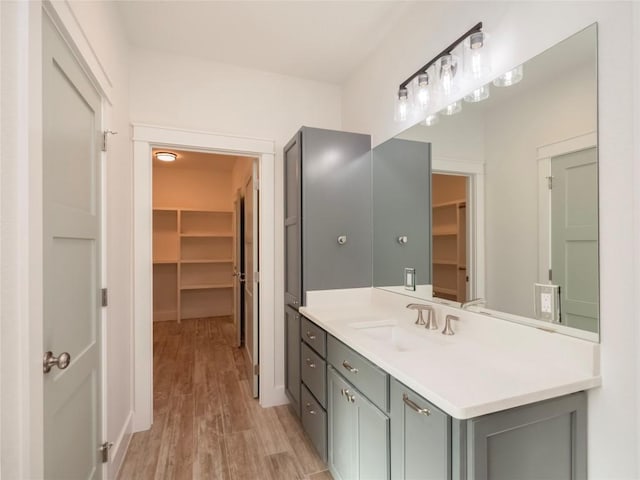 bathroom with hardwood / wood-style flooring and vanity