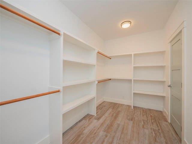 spacious closet with light wood-type flooring