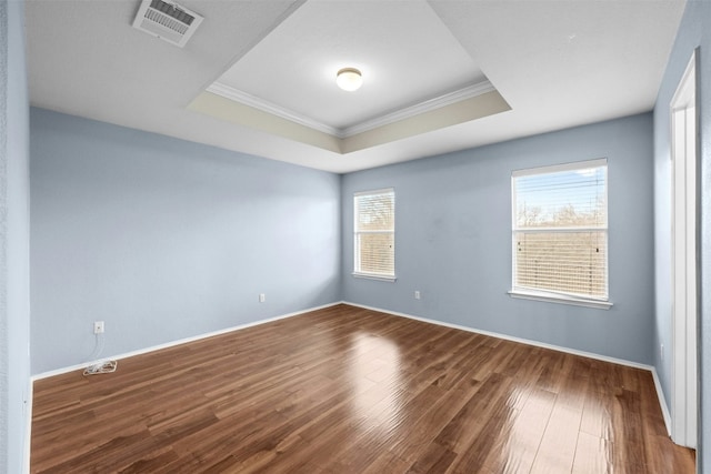 spare room featuring dark hardwood / wood-style floors, a raised ceiling, and plenty of natural light