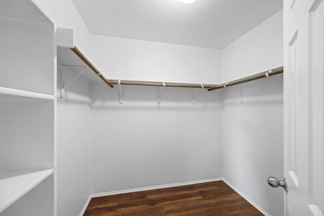 walk in closet with dark hardwood / wood-style floors