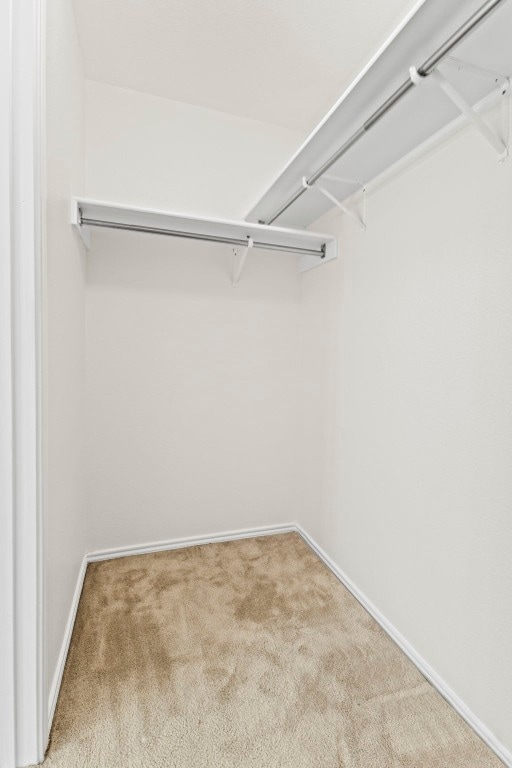 walk in closet featuring carpet