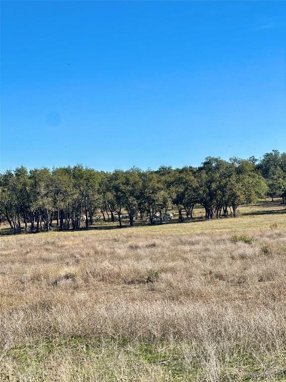 view of local wilderness featuring a rural view