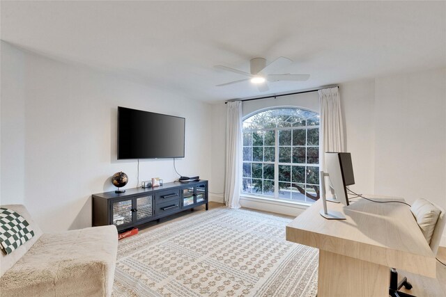 living room with ceiling fan and a wealth of natural light