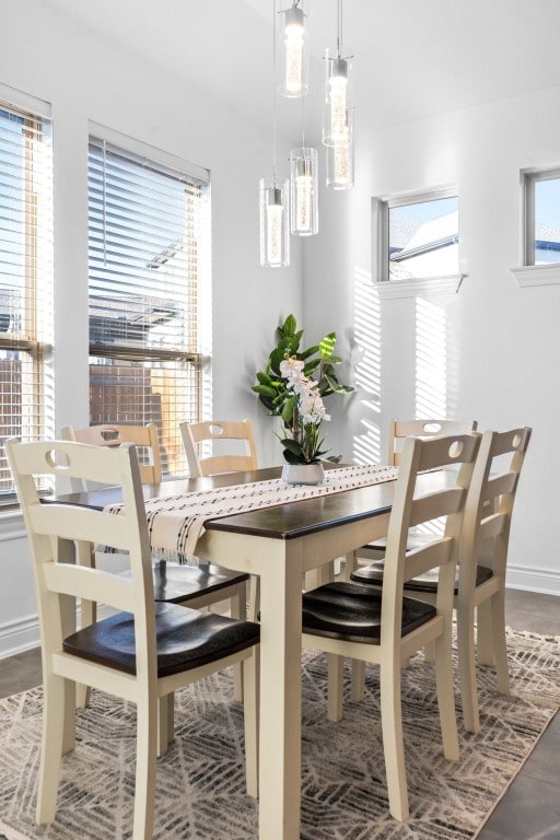 dining area with a wealth of natural light