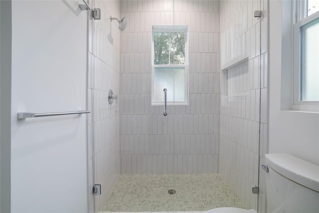 bathroom featuring an enclosed shower and toilet