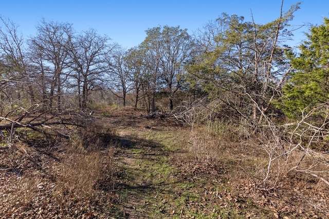 view of landscape