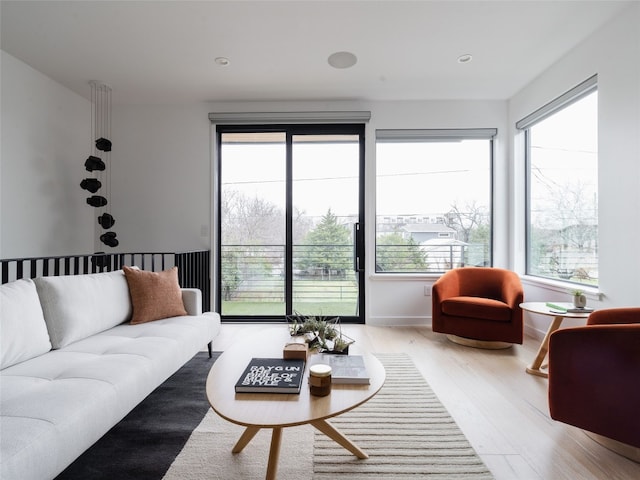 living room featuring light wood-type flooring