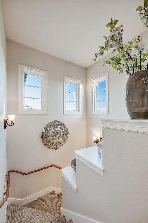 stairs with baseboards, carpet, and a healthy amount of sunlight