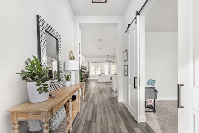 corridor with dark hardwood / wood-style flooring and a barn door