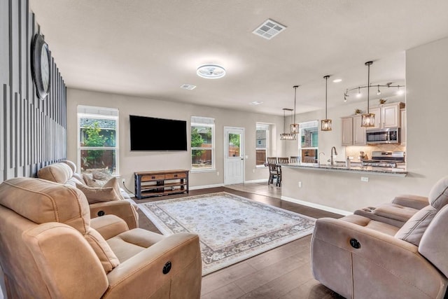 living room with dark hardwood / wood-style floors and sink