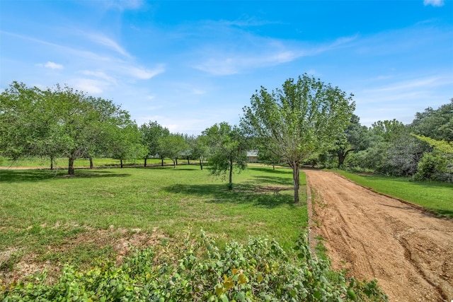 view of home's community featuring a rural view and a yard