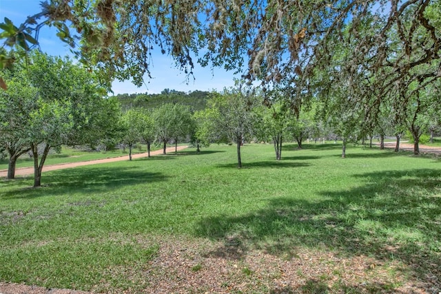 view of home's community featuring a lawn