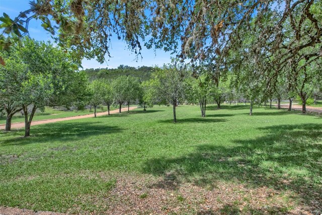 330 Arrowlake Rd, Wimberley, TX 78676 - photo 5