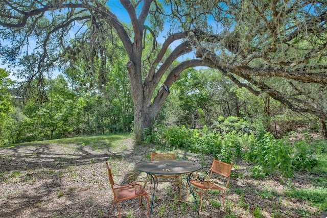 330 Arrowlake Rd, Wimberley, TX 78676 - photo 7
