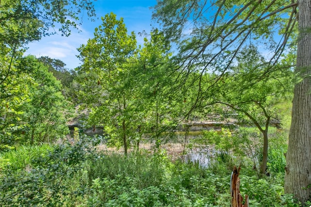 330 Arrowlake Rd, Wimberley, TX 78676 - photo 8