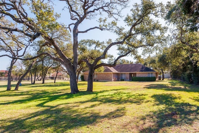 541 Elliott Ranch Rd, Buda, TX 78610 - photo 4