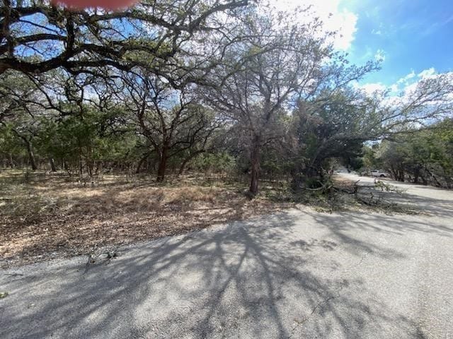 21719 Heather Dr, Lago Vista, TX 78645