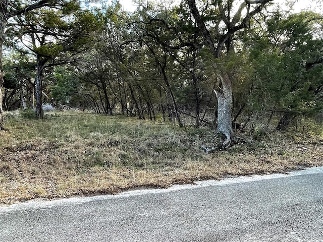 21719 Heather Dr, Lago Vista, TX 78645