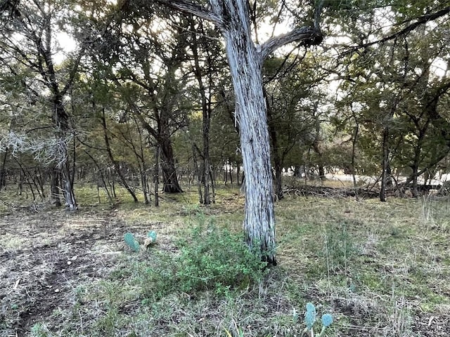 21719 Heather Dr, Lago Vista, TX 78645