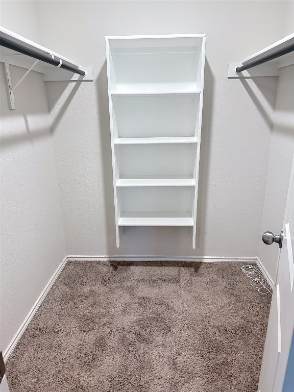 spacious closet featuring carpet floors