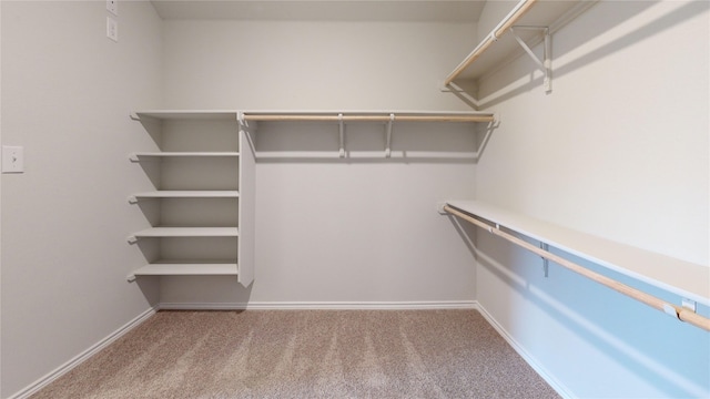 walk in closet with carpet floors