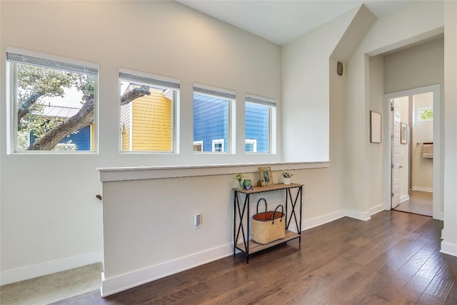 interior space featuring dark hardwood / wood-style floors