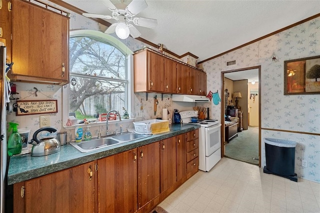 kitchen with a healthy amount of sunlight, sink, electric stove, and crown molding