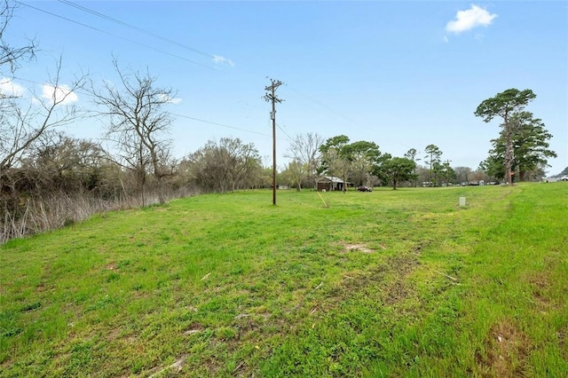 view of yard with a rural view