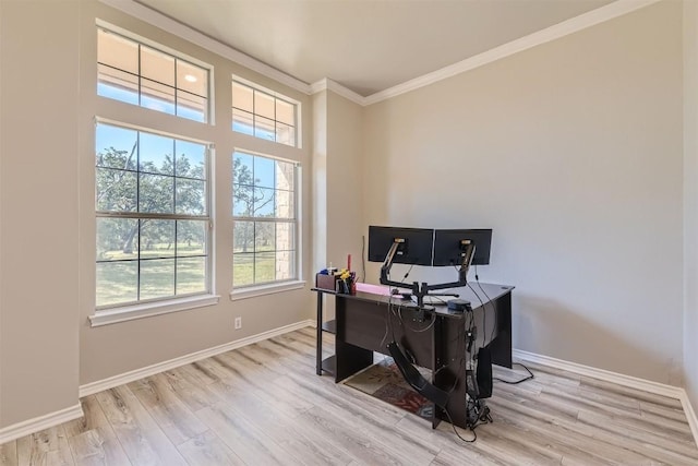 office space with crown molding and light hardwood / wood-style floors