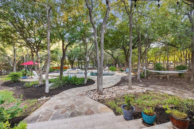 204 Woodland Park, Georgetown, TX 78633 - surrounding community featuring a swimming pool