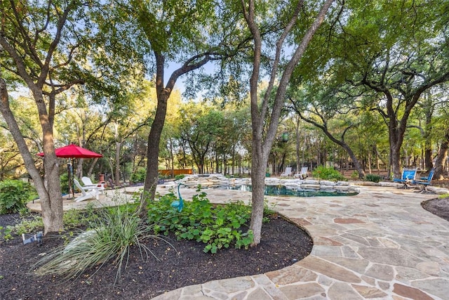 204 Woodland Park, Georgetown, TX 78633 - view of yard with a patio area, an outdoor pool, and view of scattered trees