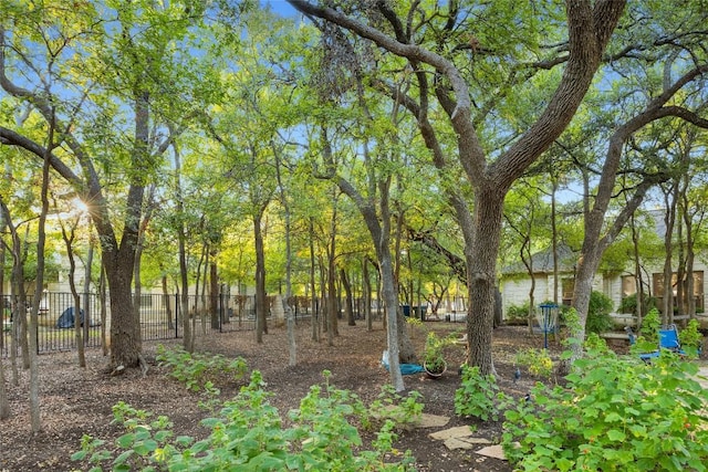 204 Woodland Park, Georgetown, TX 78633 - view of yard