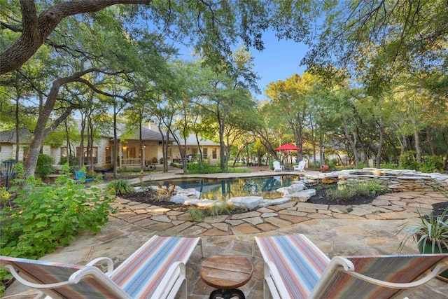 view of pool with a patio area