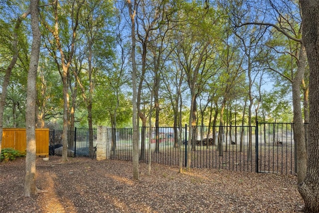 204 Woodland Park, Georgetown, TX 78633 - view of yard