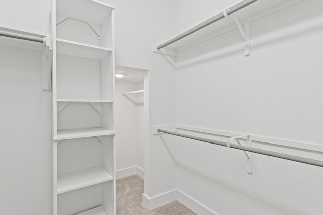 spacious closet featuring light carpet