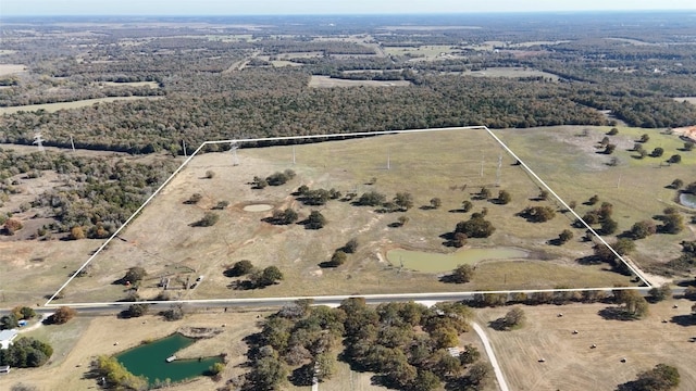 TBD County Road 481, Thrall TX, 76578 land for sale