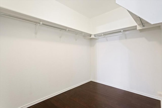 spacious closet featuring hardwood / wood-style floors