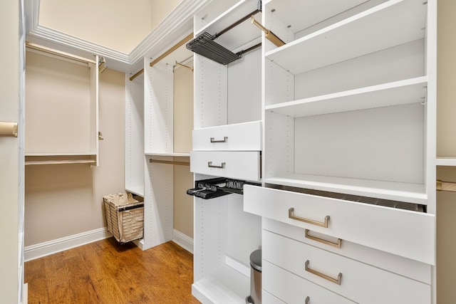 spacious closet featuring hardwood / wood-style flooring