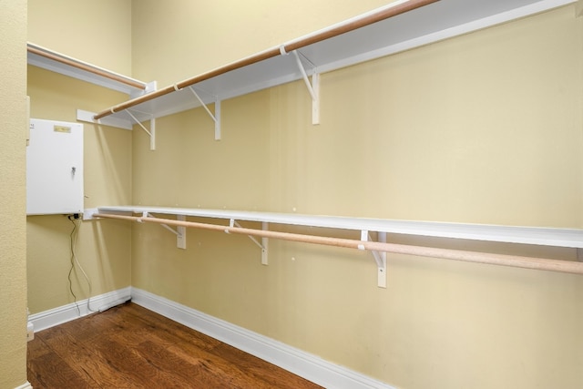 spacious closet featuring dark hardwood / wood-style flooring