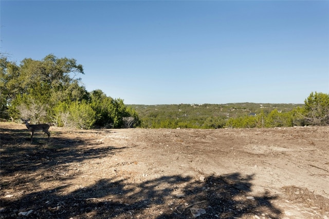 736 Covered Bridge Dr, Driftwood TX, 78619 land for sale