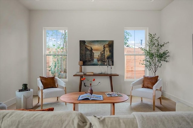 sitting room with hardwood / wood-style floors and a wealth of natural light