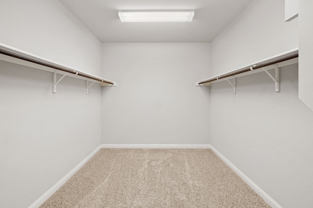 walk in closet featuring carpet floors