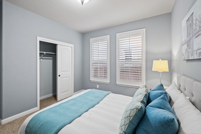 bedroom featuring carpet and a closet